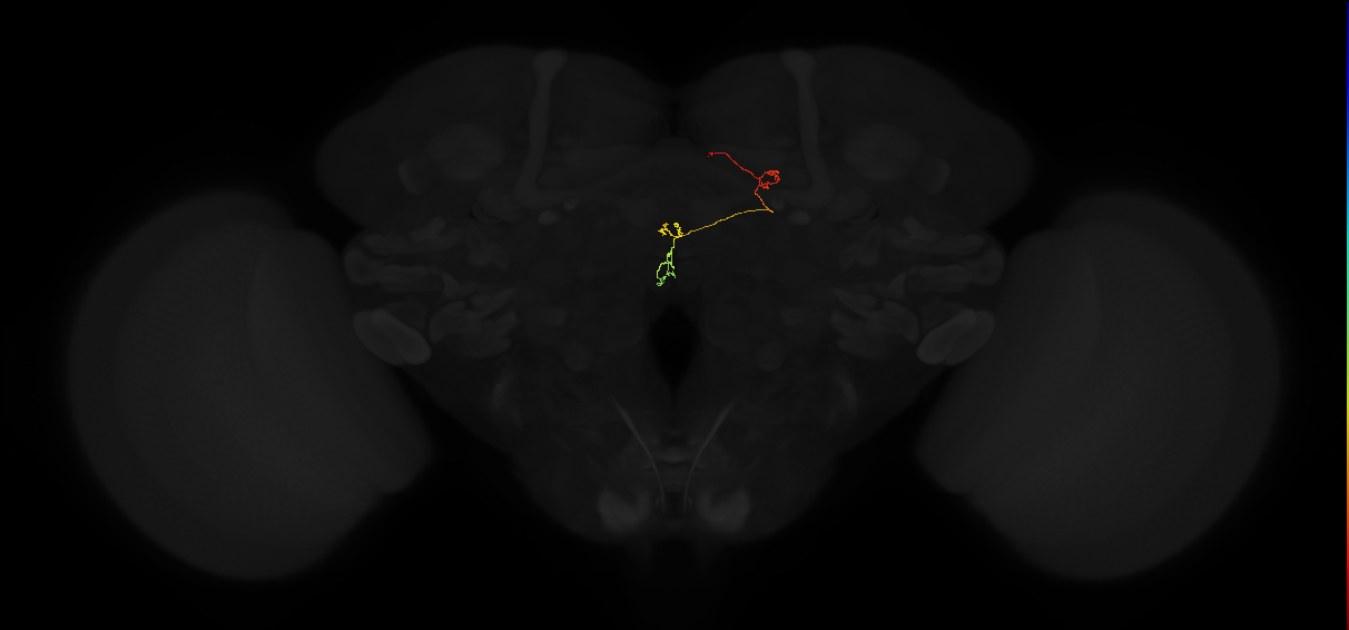 PFNp_b(PB01b)_R6_C5