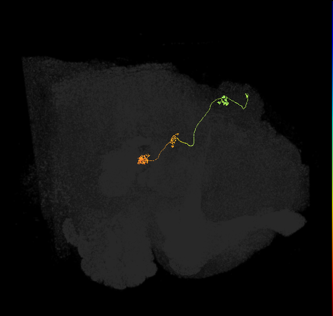 PFNp_c(PB01c)_R6_C5