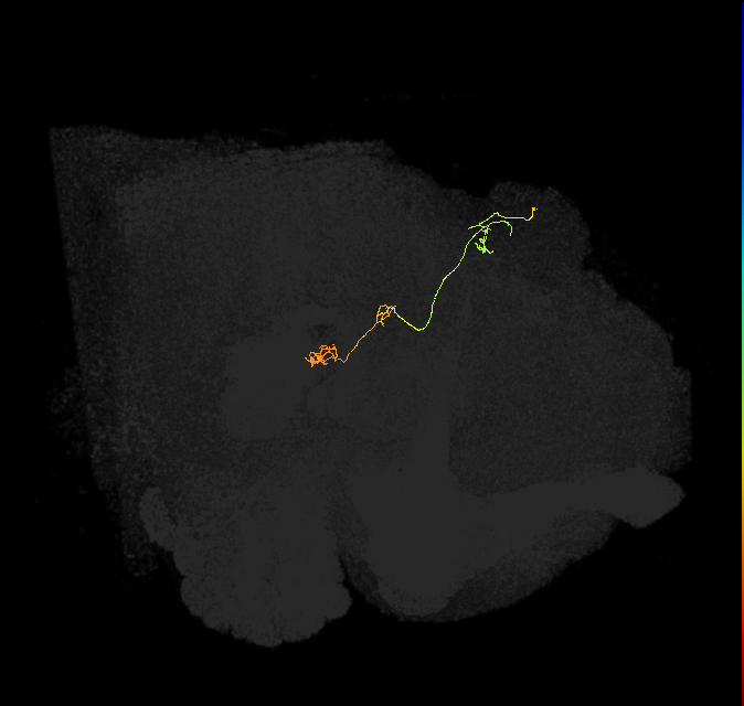 PFNp_b(PB01b)_R6_C5