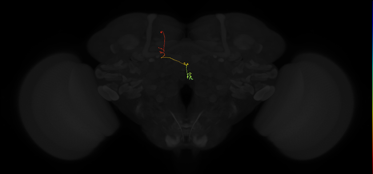 PFNp_b(PB01b)_L6_C5