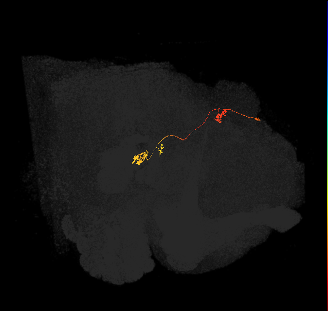 PFNp_c(PB01c)_L4_C3