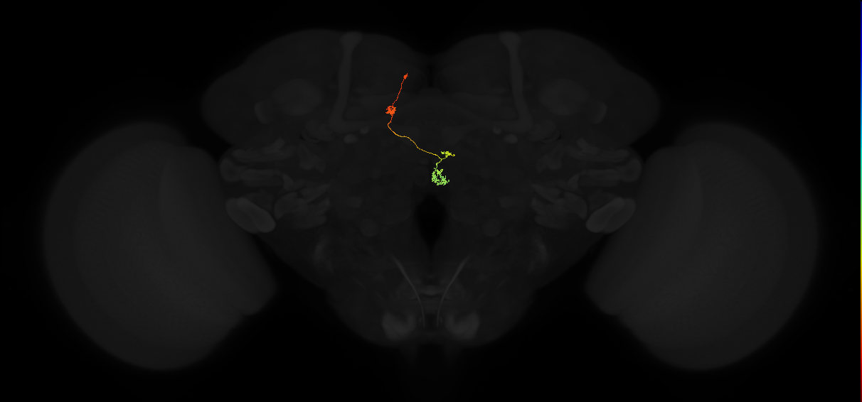 PFNp_c(PB01c)_L4_C3