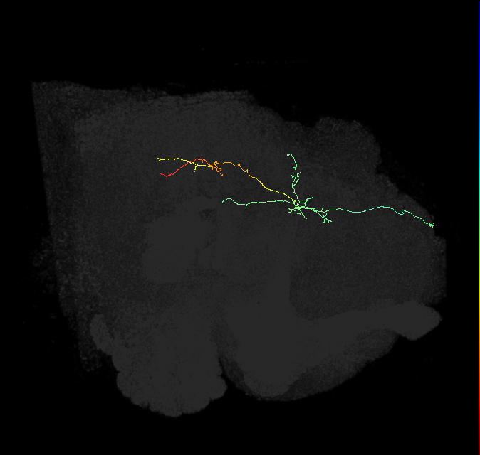 PDM10or_pct_R