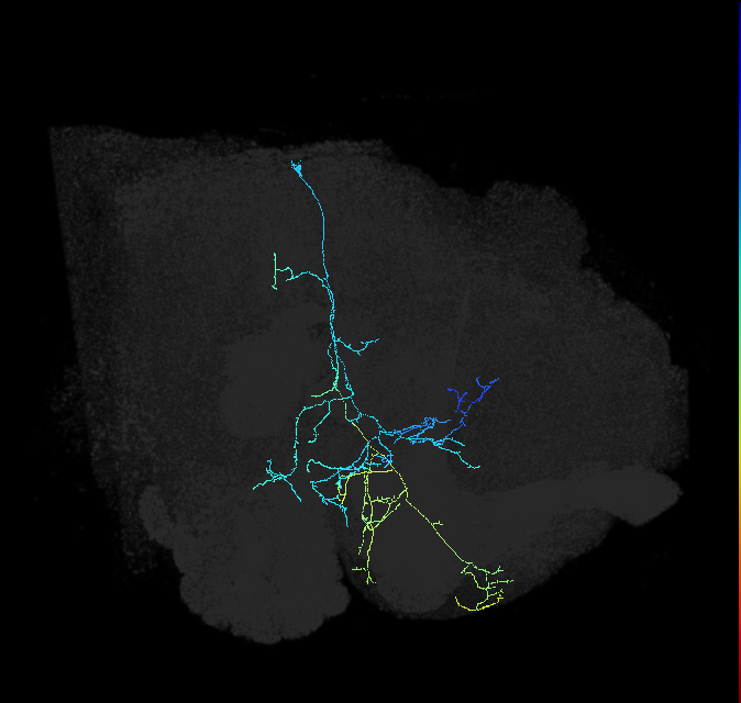 PVL04f_pct_R