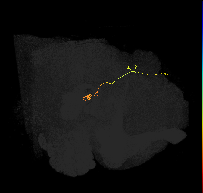 PFNp_c(PB01c)_R4_C7