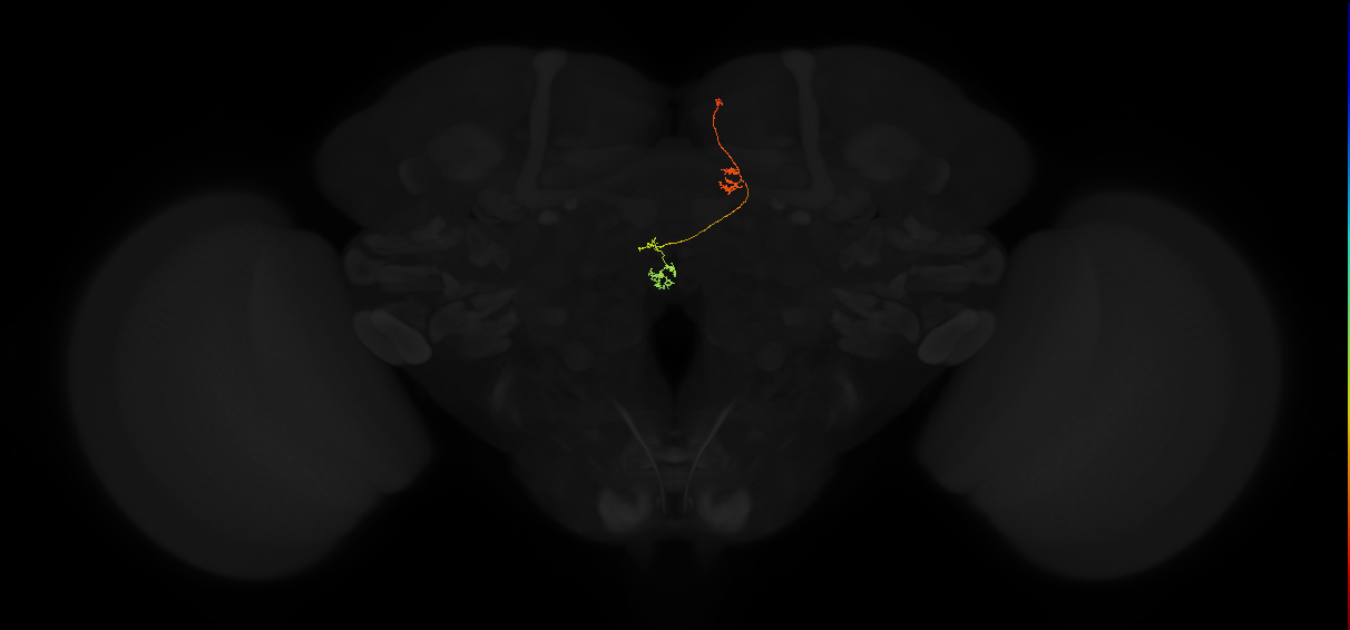 PFNp_c(PB01c)_R4_C7