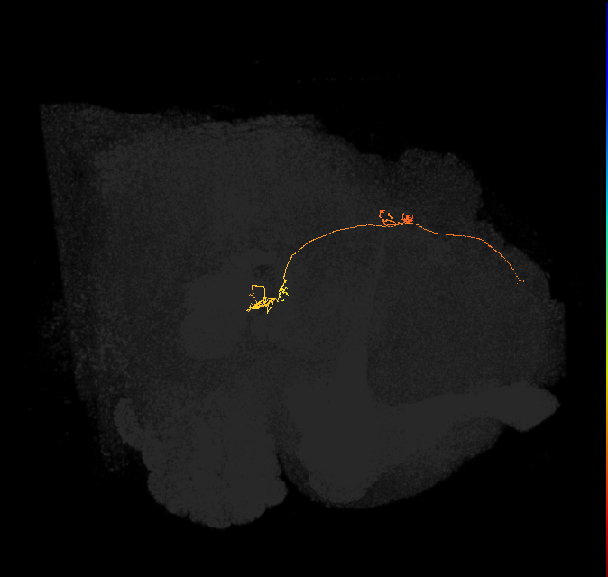 PFNp_b(PB01b)_L3_C2