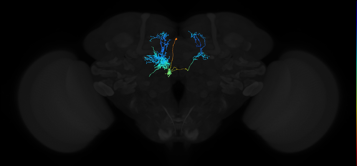 PDM13k_pct(PDM13)_L