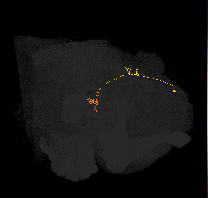 PFNp_a(PB01a)_R3_C8