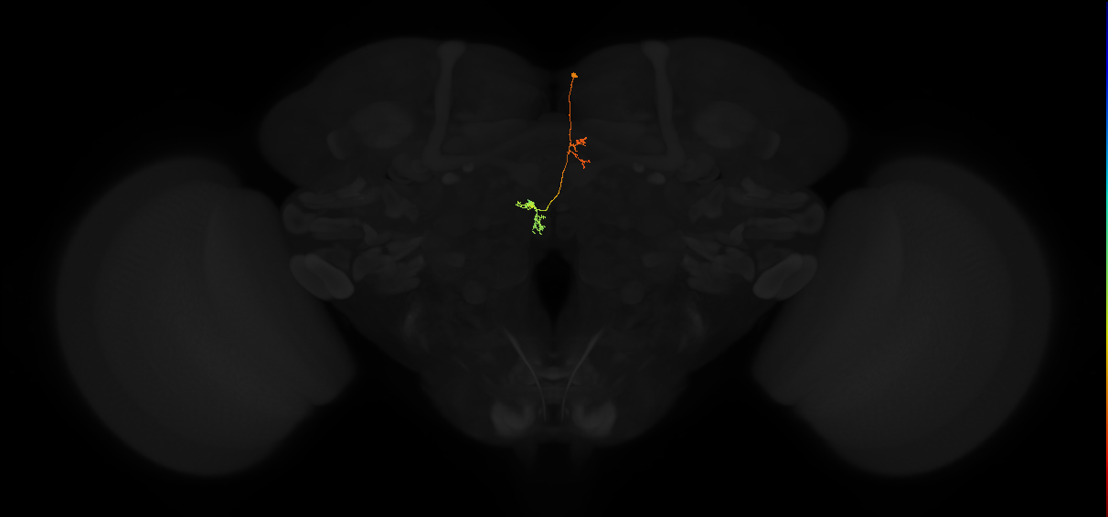 PFNp_a(PB01a)_R3_C8