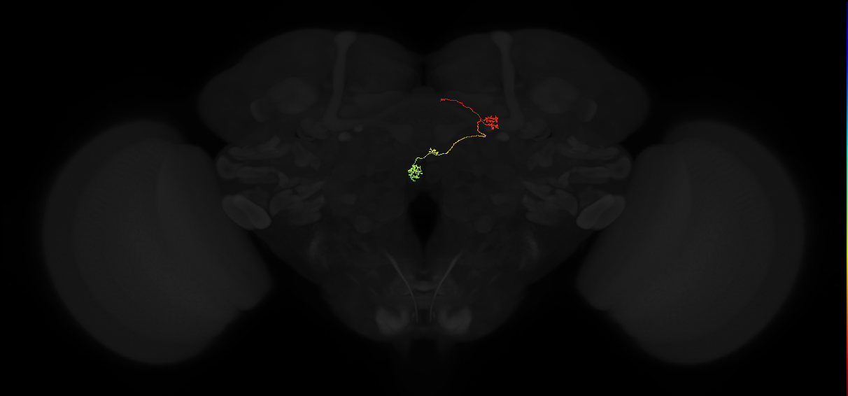 PFNp_a(PB01a)_R7_C4