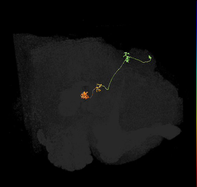 PFNp_c(PB01c)_R7_C4