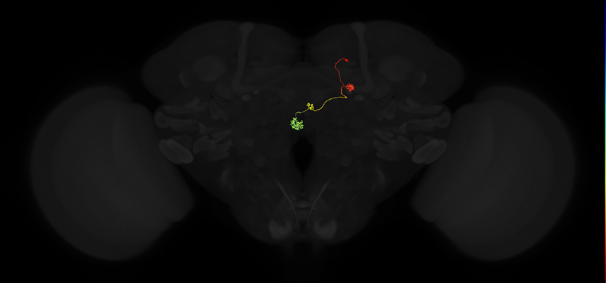 PFNp_c(PB01c)_R7_C4