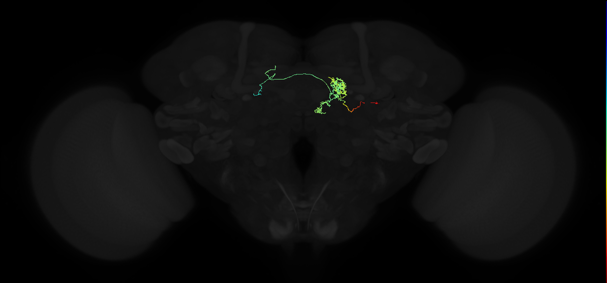 FC2D(FQ7)_C1_R