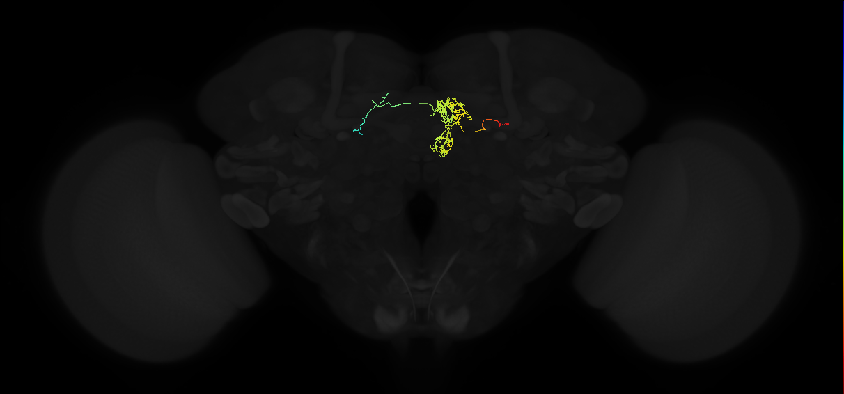 FC2D(FQ7)_C3_R