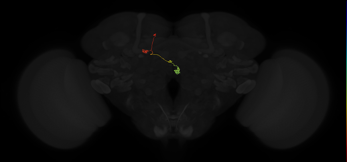 PFNp_a(PB01a)_L7_C6