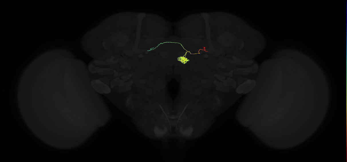 FC1_a(FQ6)_C3_R