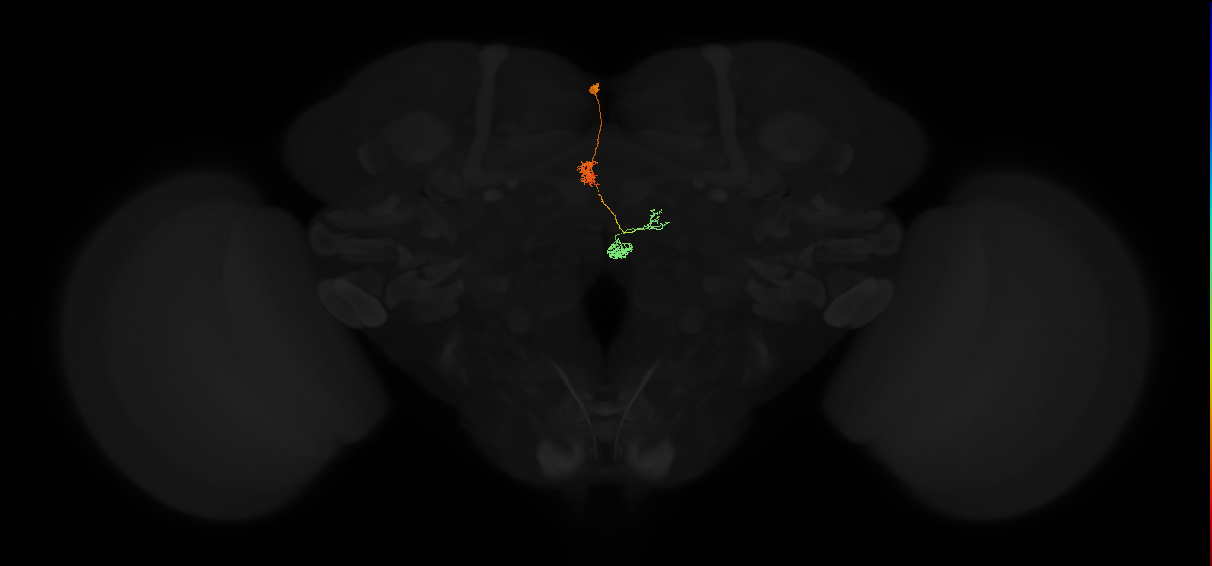 PFNa(PB03)_L2_C1