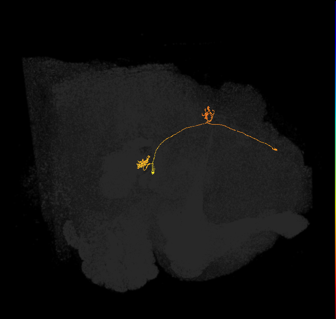 PFNp_a(PB01a)_L2_C1