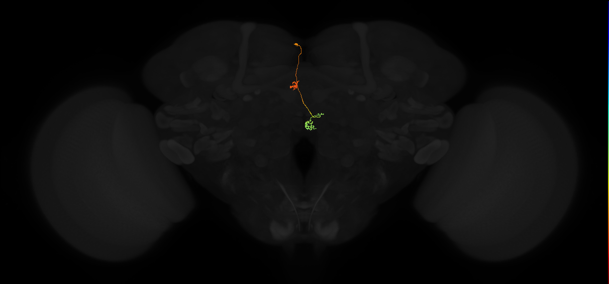 PFNp_a(PB01a)_L2_C1