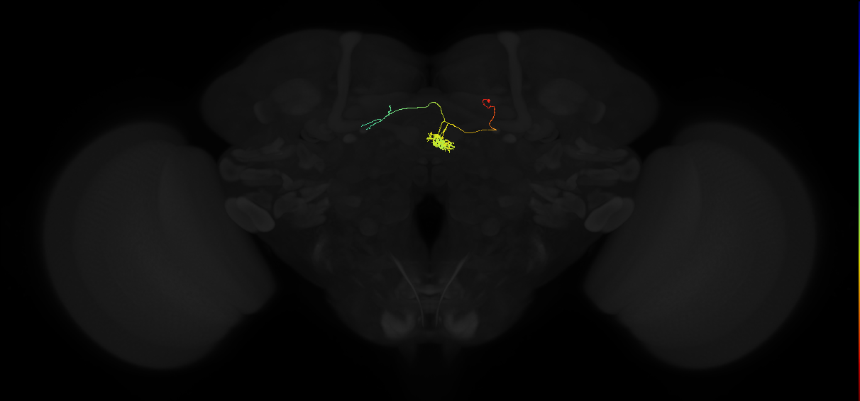 FC1_d(FQ6)_C4_R