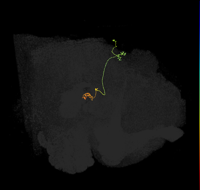 PFNp_a(PB01a)_R8_C3