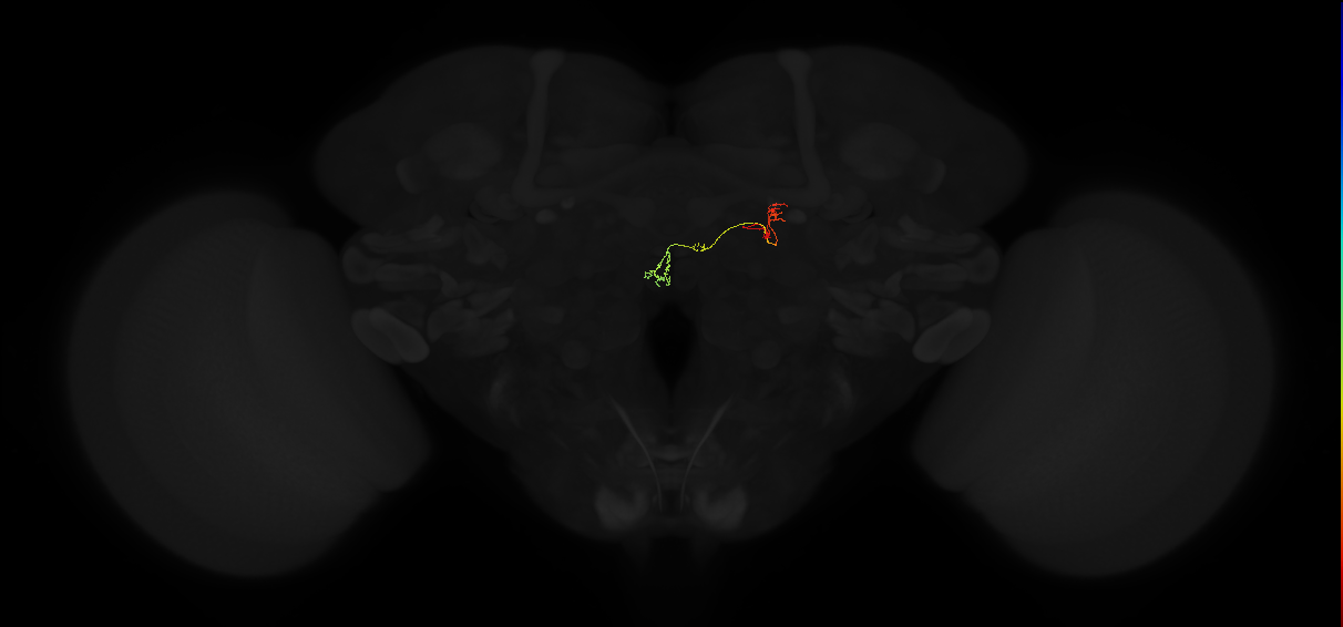 PFNp_a(PB01a)_R8_C3