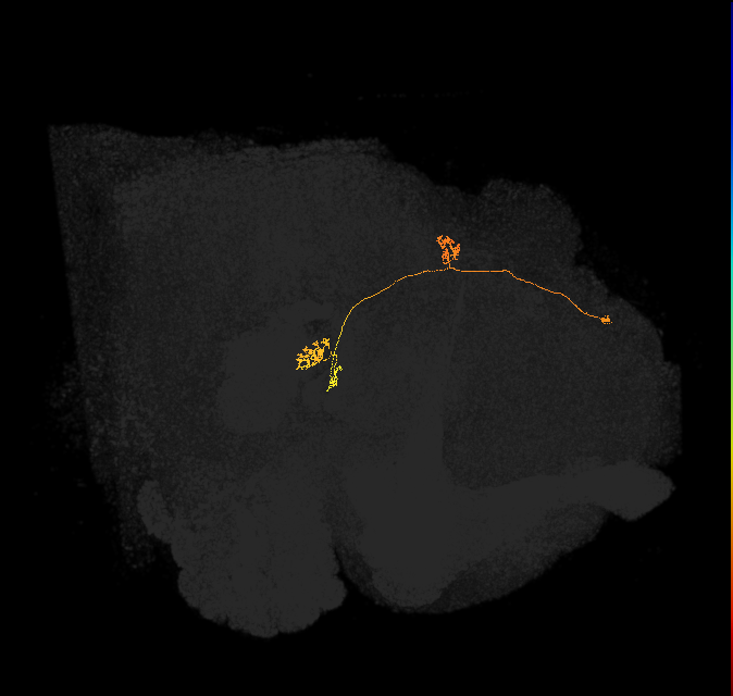 PFNp_c(PB01c)_L2_C1