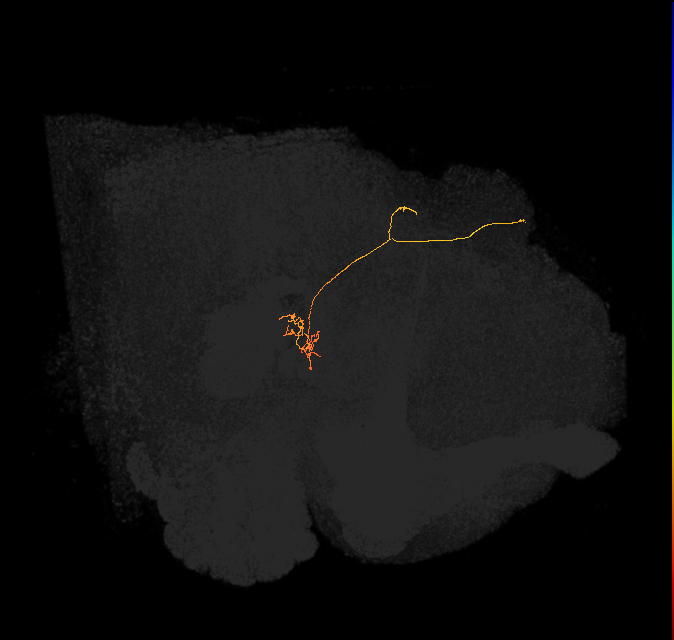 PFNp_a(PB01a)_R2_C9