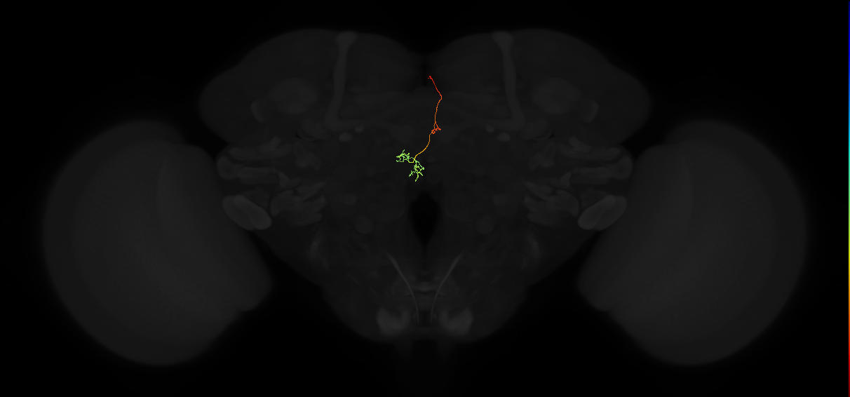 PFNp_a(PB01a)_R2_C9