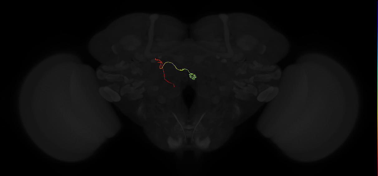 PFNp_a(PB01a)_L8_C7