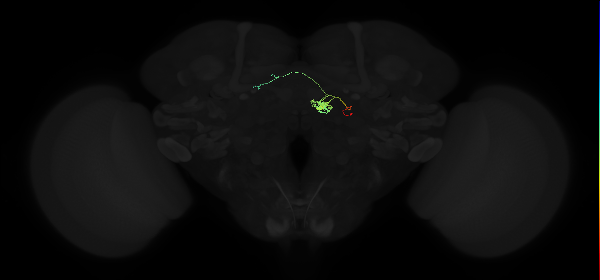 FC1_a(FQ6)_C2_R