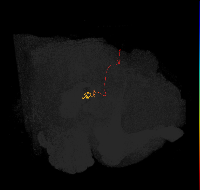 PFNp_a(PB01a)_L8_C7