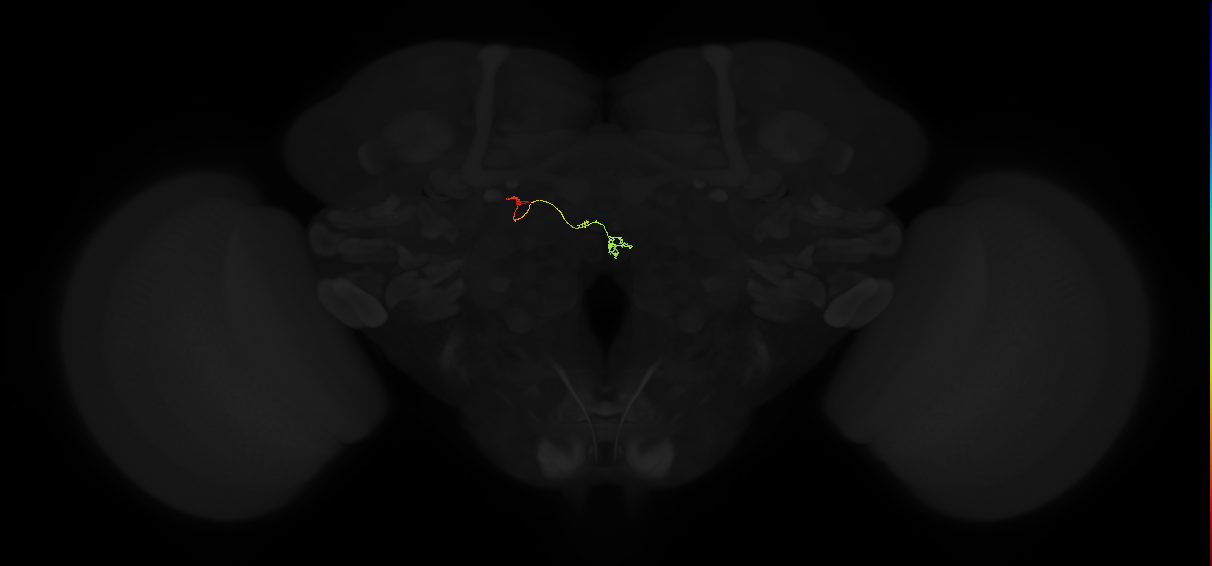 PFNp_a(PB01a)_L8_C7