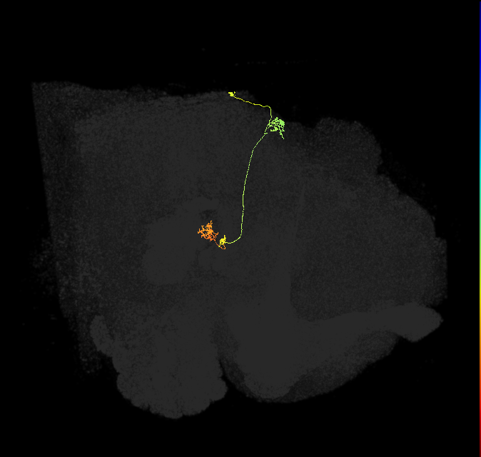 PFNp_c(PB01c)_R9_C1