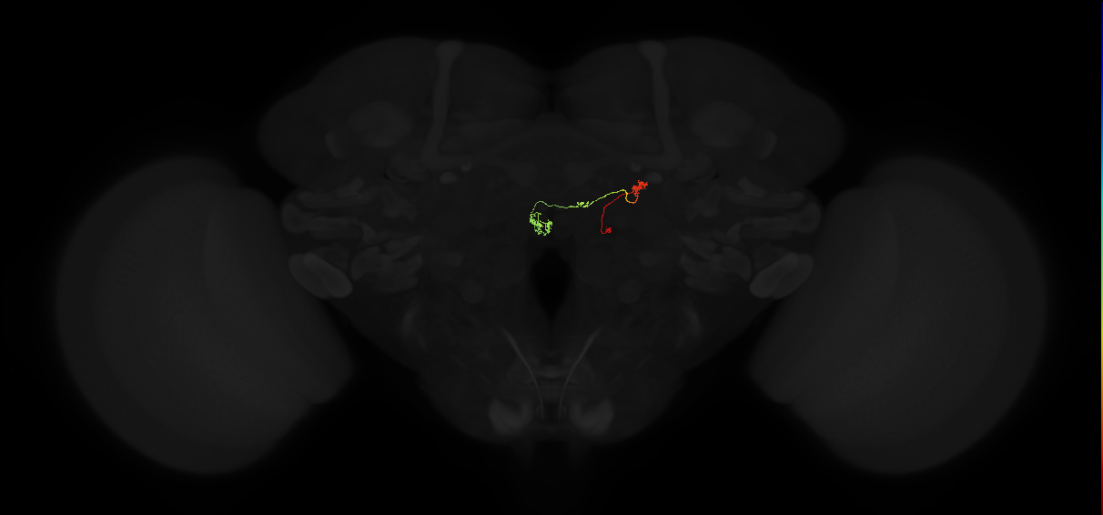 PFNp_c(PB01c)_R9_C1