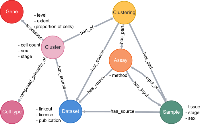 scRNAseq schema